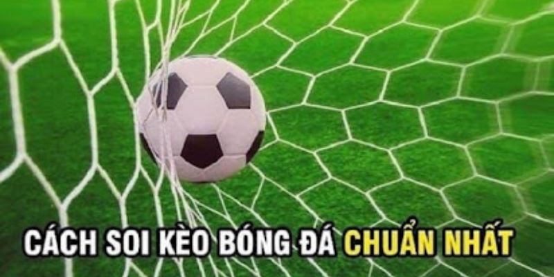Những lưu ý quan trọng khi chơi